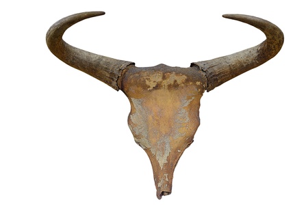 a person likes to bring decorate at a house for the beautyの写真素材