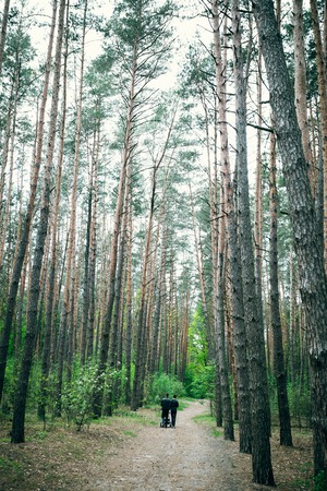 A young couple in love walking in the woods in forestの写真素材