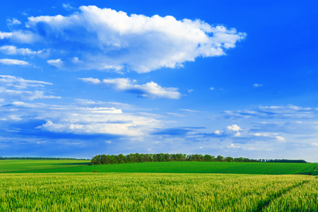 Green field and blue sky with light clouds. Good dayの写真素材