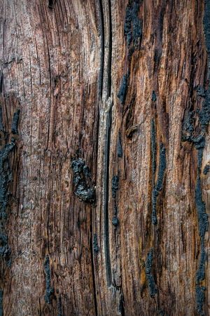 Big Brown grunge wood plank wall texture backgroundの写真素材