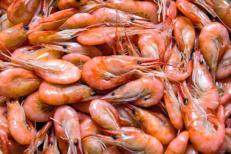 Shrimps background. The fish market Bergen Norwayの写真素材