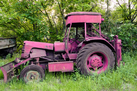 beautiful, old, pink tractor on the natural background