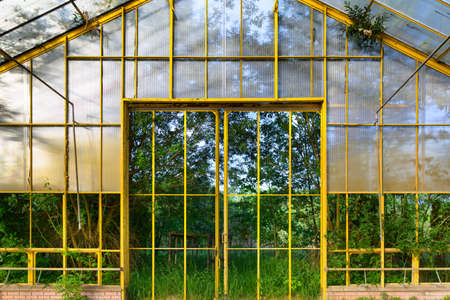 greenhouse, glass doors, trees yellow frame, nature backgroundの写真素材