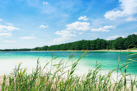 beautiful view of blue water and forest horizontal line landscapeの写真素材