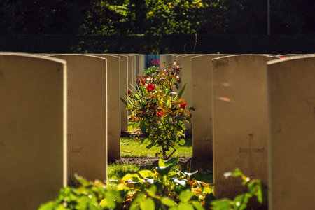 germany cemetery graves on autumn time all saints day halloween