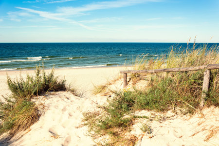 sea dunes and beach grass on summer time sea horizontal line