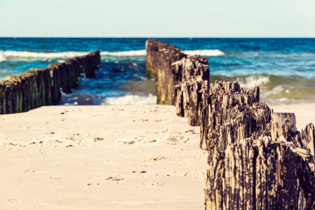 wooden breakwaters on the sea beach nature view horizontal line