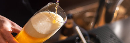 bartender pour beer to the glass from bottle panoramaの写真素材