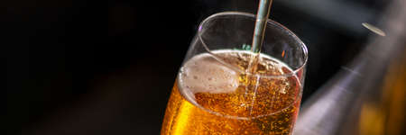 bartender pouring beer from tap panoramaの写真素材