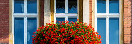 old building balcony windows with red flowers panoramaの写真素材