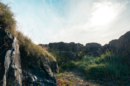 Rocks and grasses in the countryside of Scotland, UK.の写真素材