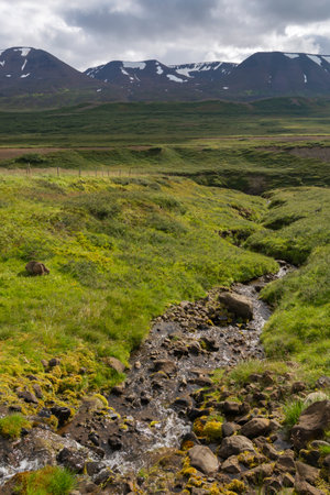 Icelandic landscape with a small stream in the grassland.の写真素材