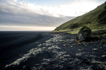 Icelandic volcanic landscape with black sand dunes and cliffs.の写真素材