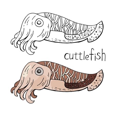 Cuttlefish black and white and color isolated on white background.のイラスト素材