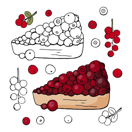 Black and white and colored cake with cranberry berries isolated on white background. Cranberry cake.のイラスト素材