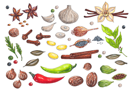 Hand drawn big set with watercolor markers different types of spicesの写真素材