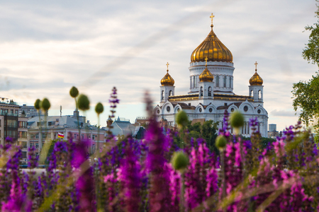 Moscow, Russia, 22 june, 2016 - The Savior among lupinesのeditorial素材