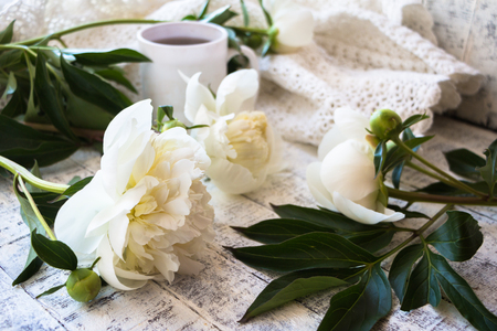Beautiful white peonies on a white wooden tableの写真素材