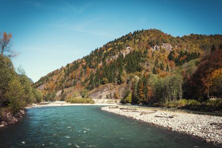 View of the river in the mountains in the middle of autumn trees. Autumn high in the mountains, autumn landscapeの写真素材