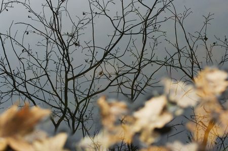 Water reflection の写真素材