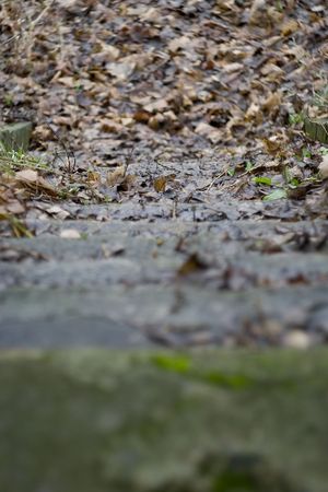 stairsの写真素材