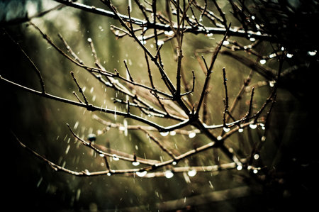falling drops