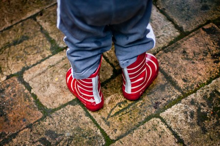 Small Feetの写真素材