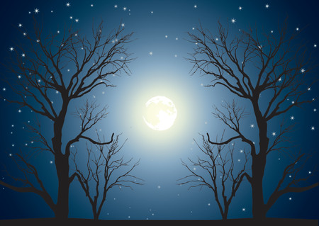 Landscape with trees on a background of the sky in a full moonのイラスト素材