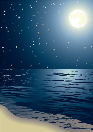 Vector illustration - the seacoast shined by the full moonのイラスト素材