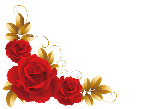 Vector illustration - fine blossoming rosesのイラスト素材