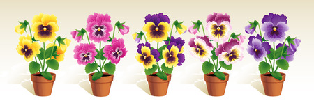 Vector illustration - Pansies in a terracotta potsのイラスト素材
