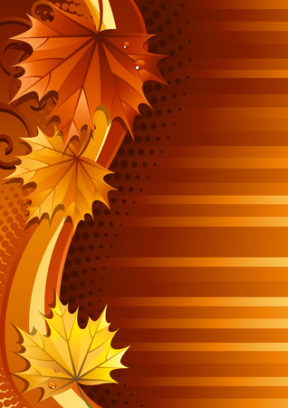 Vector illustration - autumn leaves backgroundのイラスト素材