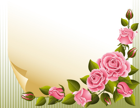 Vector illustration - pink roses and paperのイラスト素材