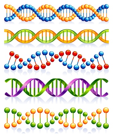  illustration - DNA strandsのイラスト素材