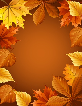 Vector illustration - autumn leaves backgroundのイラスト素材