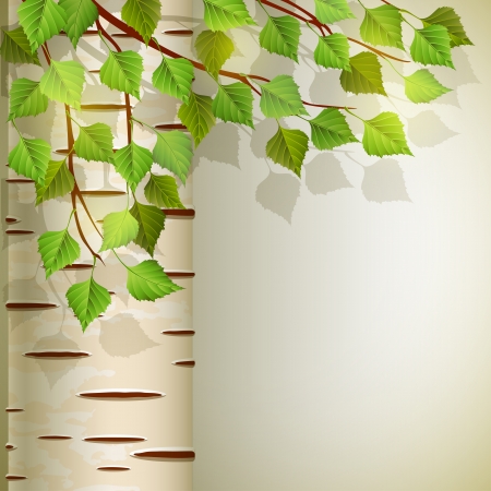 Vector illustration - background with birch, EPS 10, RGB Use transparency and blend modesのイラスト素材