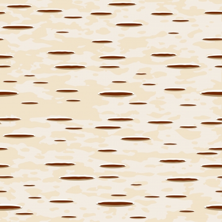 Vector illustration - birch bark seamless patternのイラスト素材