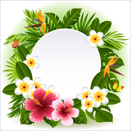 tropical flowers and plants のイラスト素材