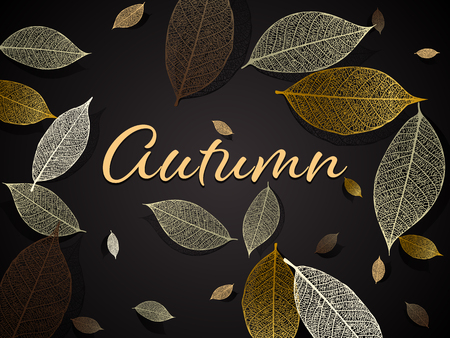 Vector illustration - autumn background with skeleton leaves. EPS 10のイラスト素材