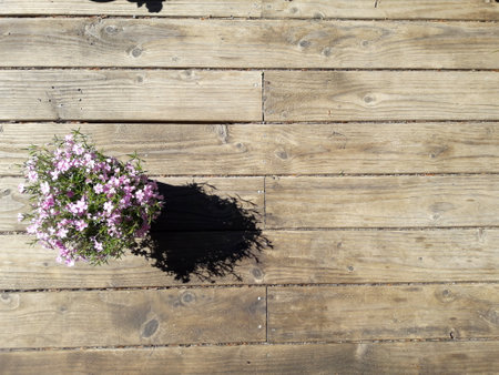 Wooden planks with pink flowers in a vase on a sunny dayの写真素材