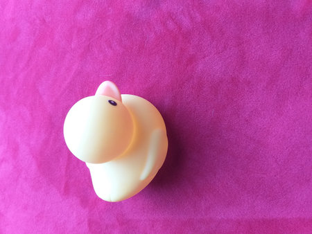 Rubber duck toy on pink background. Minimalism style.の写真素材