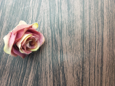 Dried rose on wooden background, Valentine's day concept. Copy space.