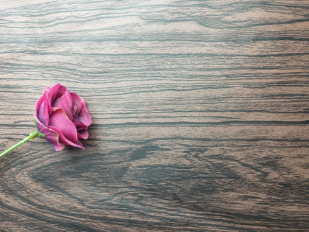 Flower on wood background with copy space for text or image.の写真素材