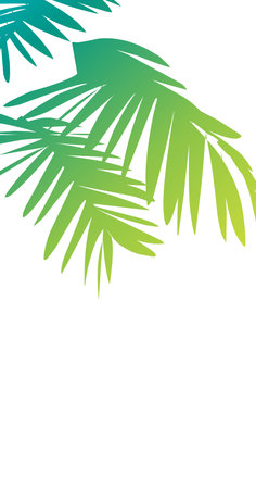 Tropical palm leaves on a white background. Vector illustration.の素材