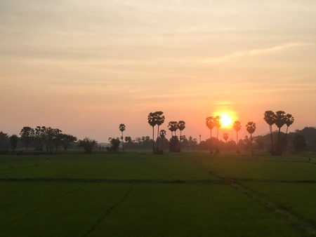 The sunset on the fieldの素材