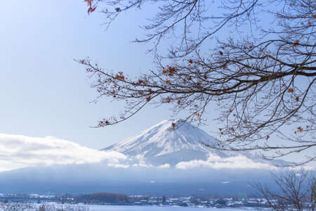 Fuji san mountain covering by snow in autumntime. colourful leaves branch drawn across, lake and cloud surrounded. Fresh air, beautiful scenery beside small town. taken in Japanの写真素材