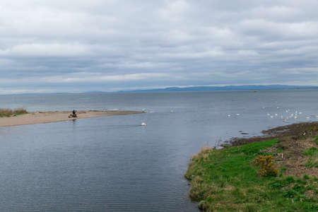 Unidentified men having lunch while watching swan and seagull in the water at beach, nice sunny day, clear sky, natural landscape sceneryの写真素材
