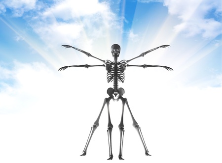 human anatomyの写真素材