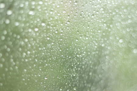 Rain drops on glassの写真素材