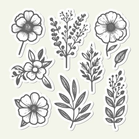 Set of hand drawn floral elements. Vector illustration for your design.のイラスト素材